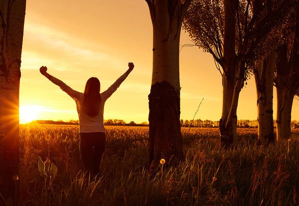 6 Reasons Why Success Juice Will Make Your Mornings Better in 2026
