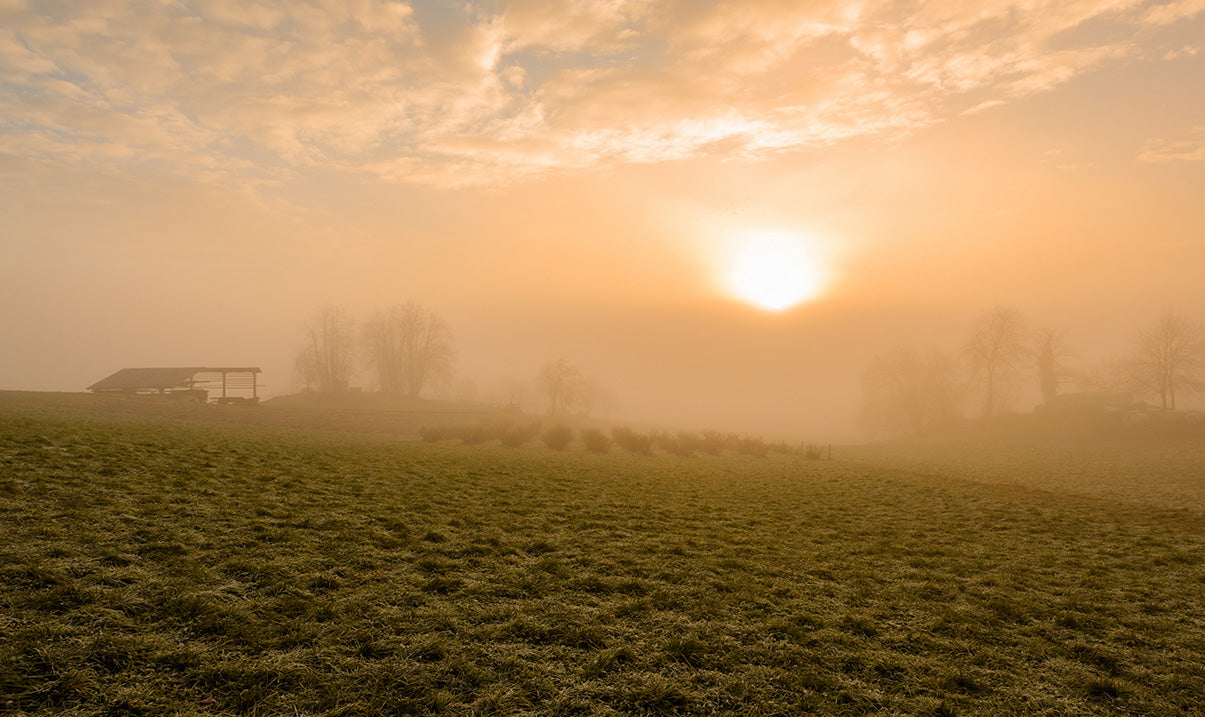 Sunrise over a misty field with a wooden structure in the distance